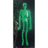 Kostra fluoreskující
